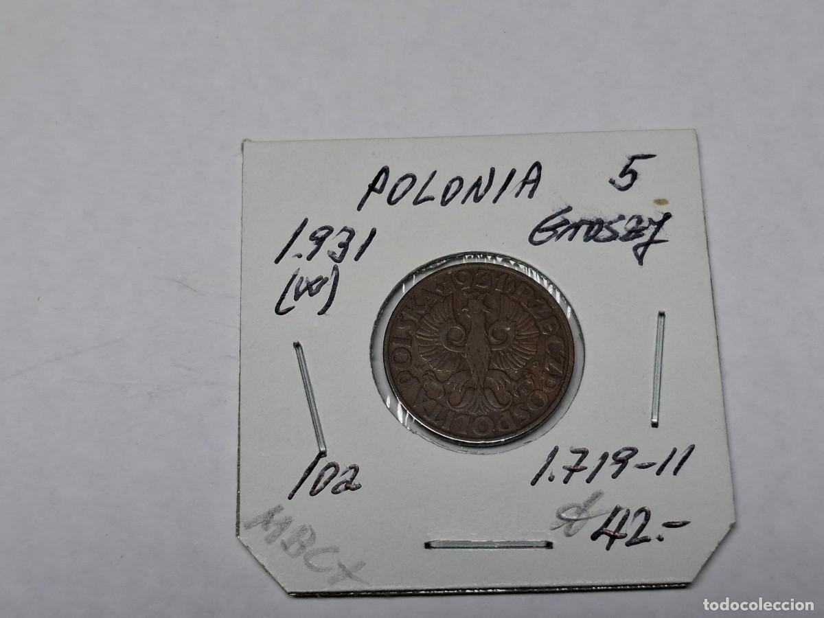 Monedas antiguas de Europa: 5 GROSZY de 1931 EB KM 10.a POLONIA en MBC+