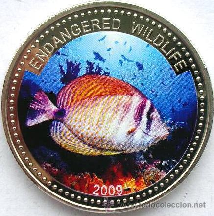 Monedas antiguas de Ocean&iacute;a: PALAU IS. 1 DOLAR 2009 CHATEODON - Foto 1