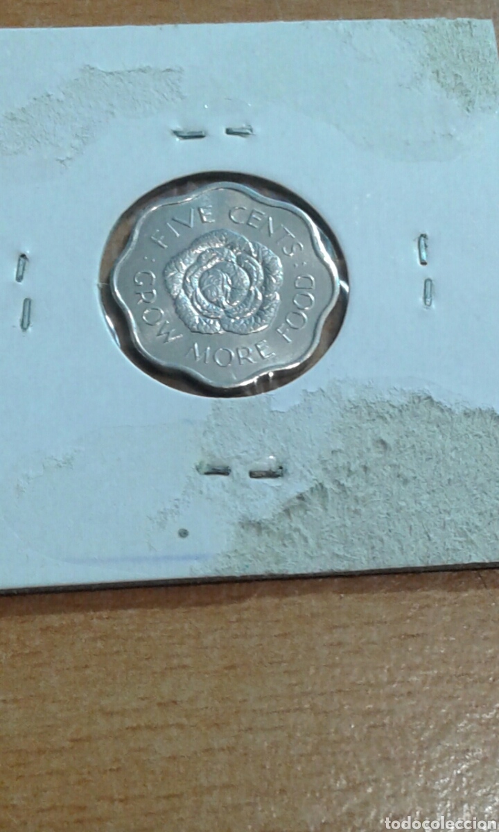Monedas antiguas de Ocean&iacute;a: Seychelles 5 cent 1972 - Foto 2