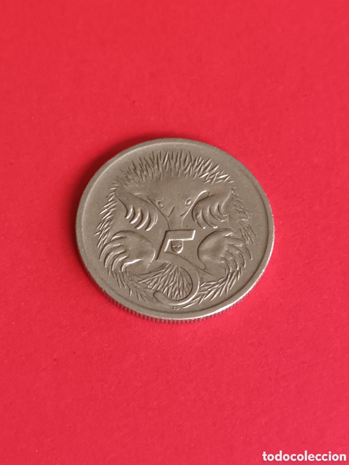 Monedas antiguas de Ocean&iacute;a: AUSTRALIA. 5 CENTAVOS DE 1998. - Foto 2