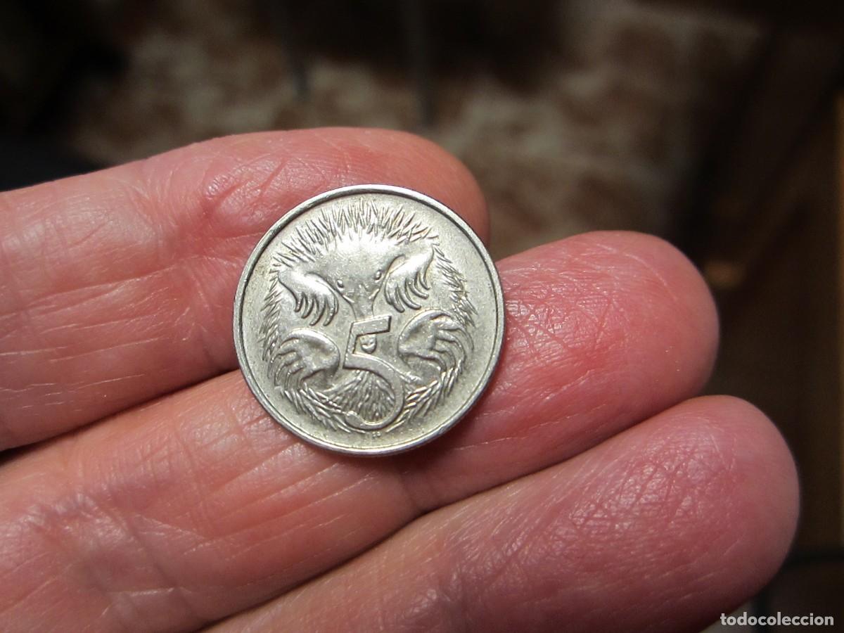 Monedas antiguas de Ocean&iacute;a: MONEDA DE AUSTRALIA DE 5 CENTAVOS DE 1981 - Foto 2