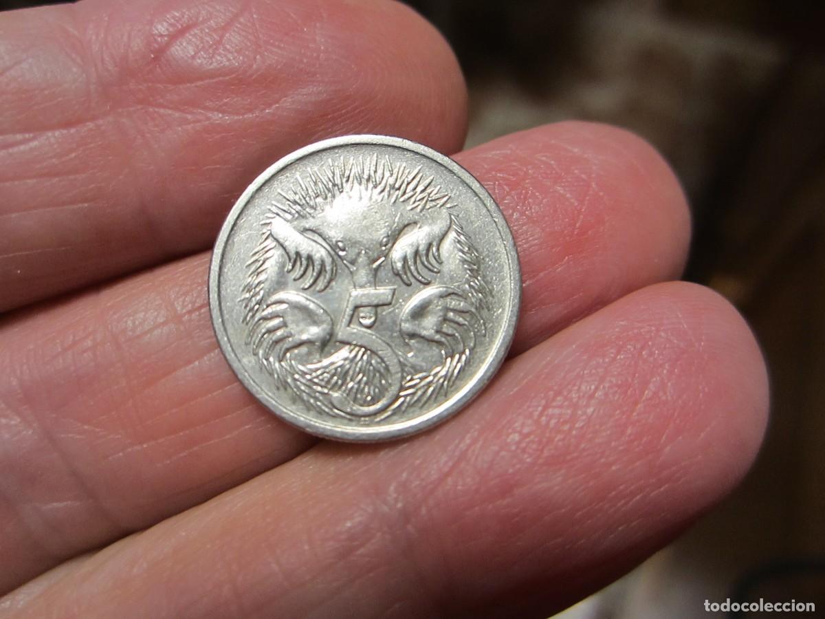 Monedas antiguas de Ocean&iacute;a: MONEDA DE AUSTRALIA DE 5 CENTAVOS DE 1987 - Foto 2