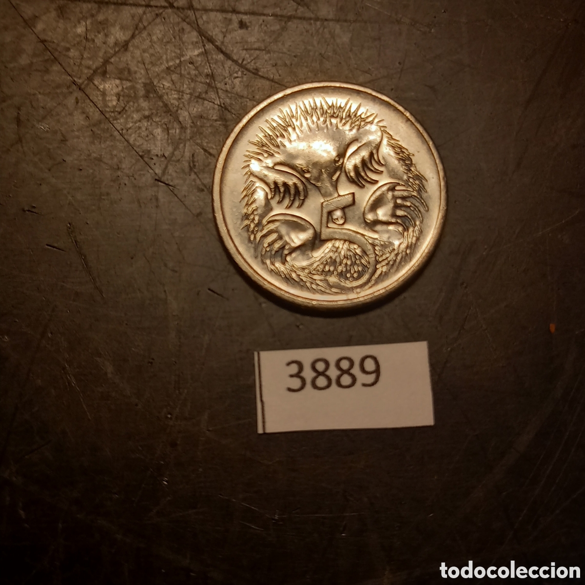 Monedas antiguas de Ocean&iacute;a: Australia 5 centavos 2003 - Foto 2