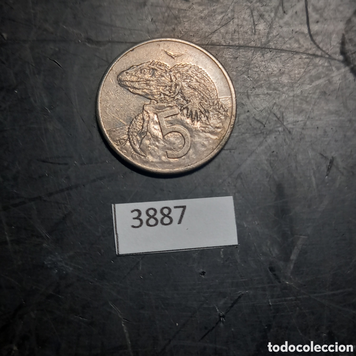Monedas antiguas de Ocean&iacute;a: Nueva Zelanda 5 centavos 1989 - Foto 2