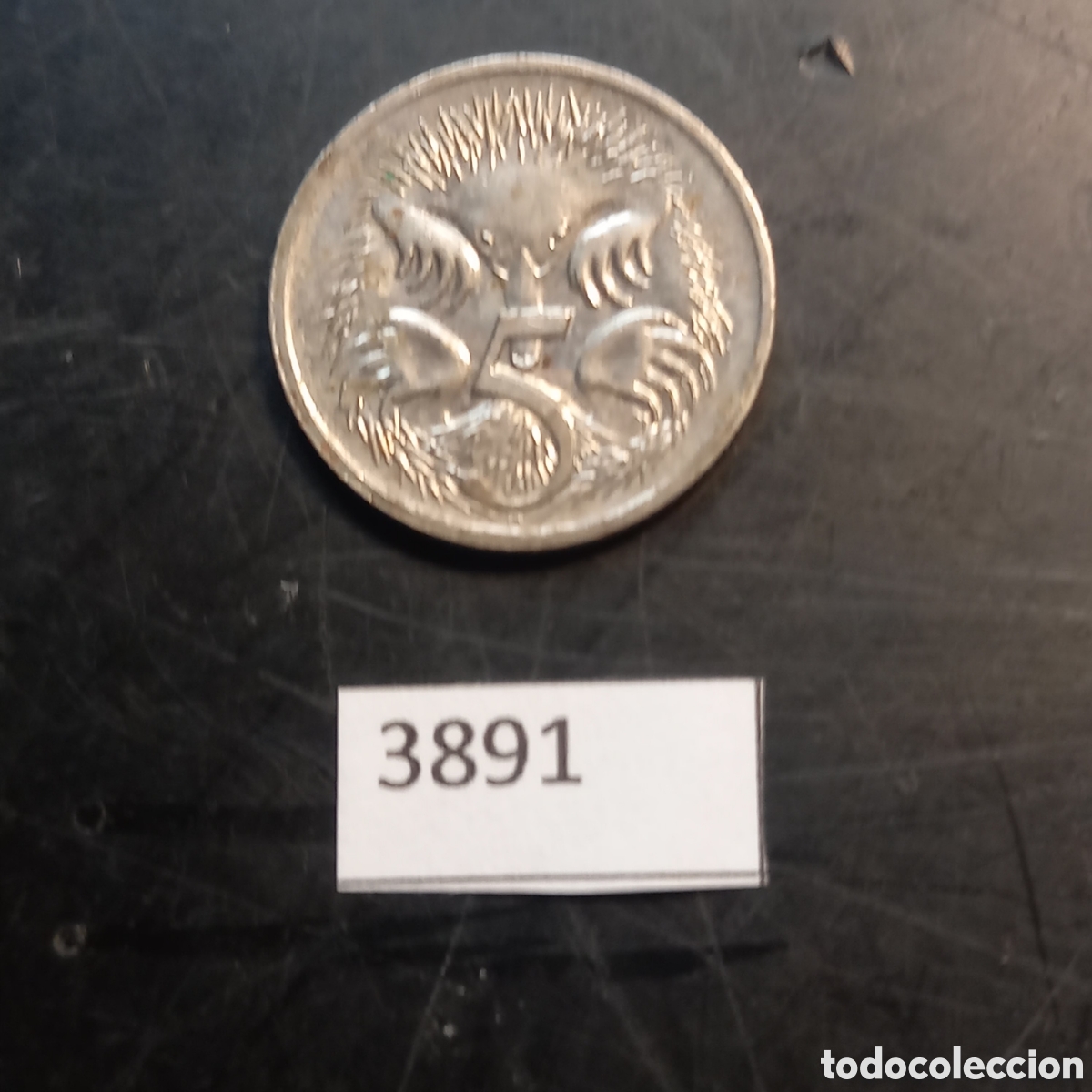 Monedas antiguas de Ocean&iacute;a: Australia 5 centavos 2005 - Foto 2