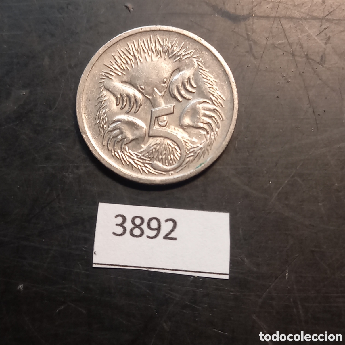 Monedas antiguas de Ocean&iacute;a: Australia 5 centavos 2003 - Foto 2