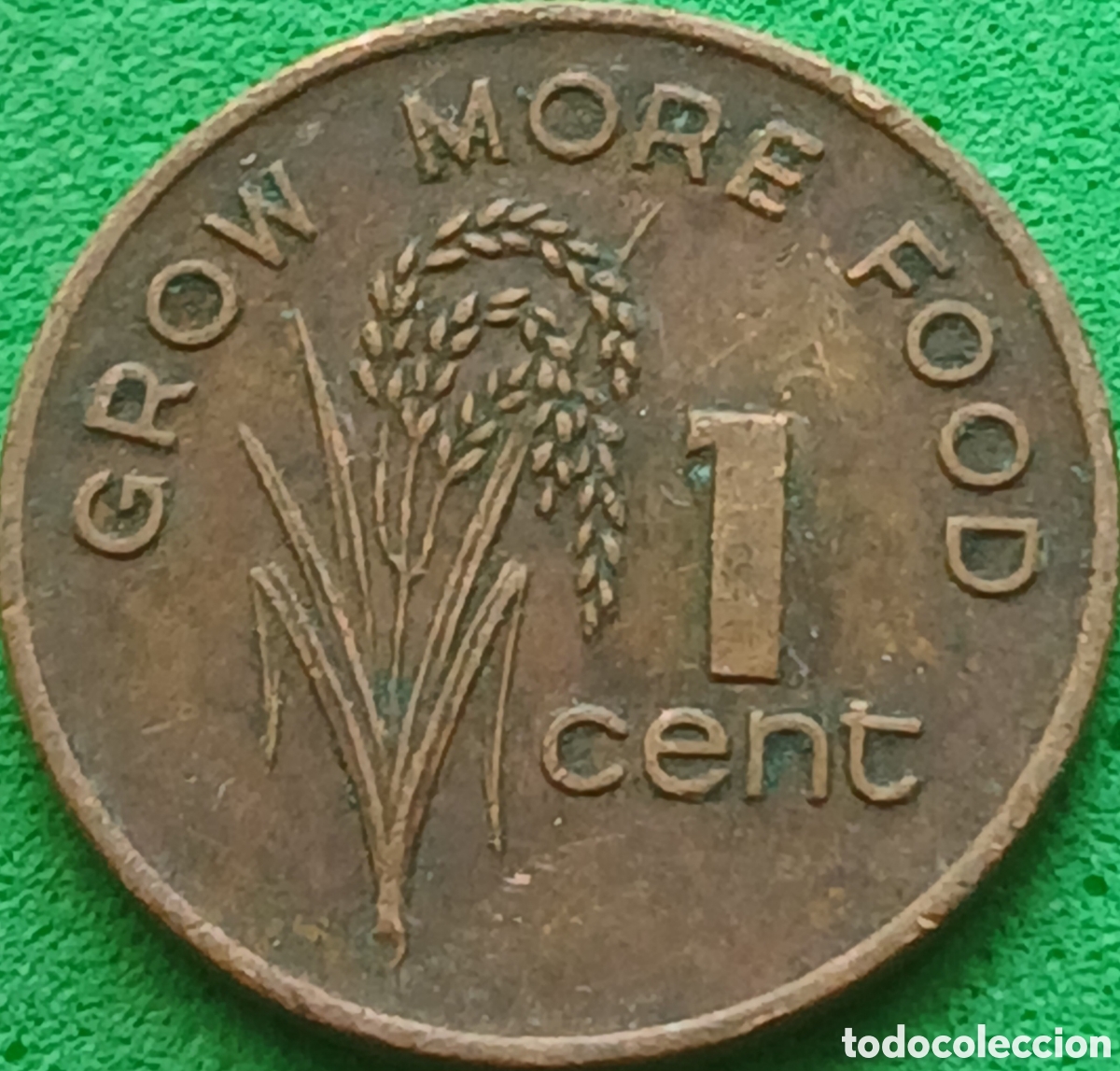 Alte M&uuml;nzen aus Ozeanien: Fiji 1 cent 1982 km#39 FAO