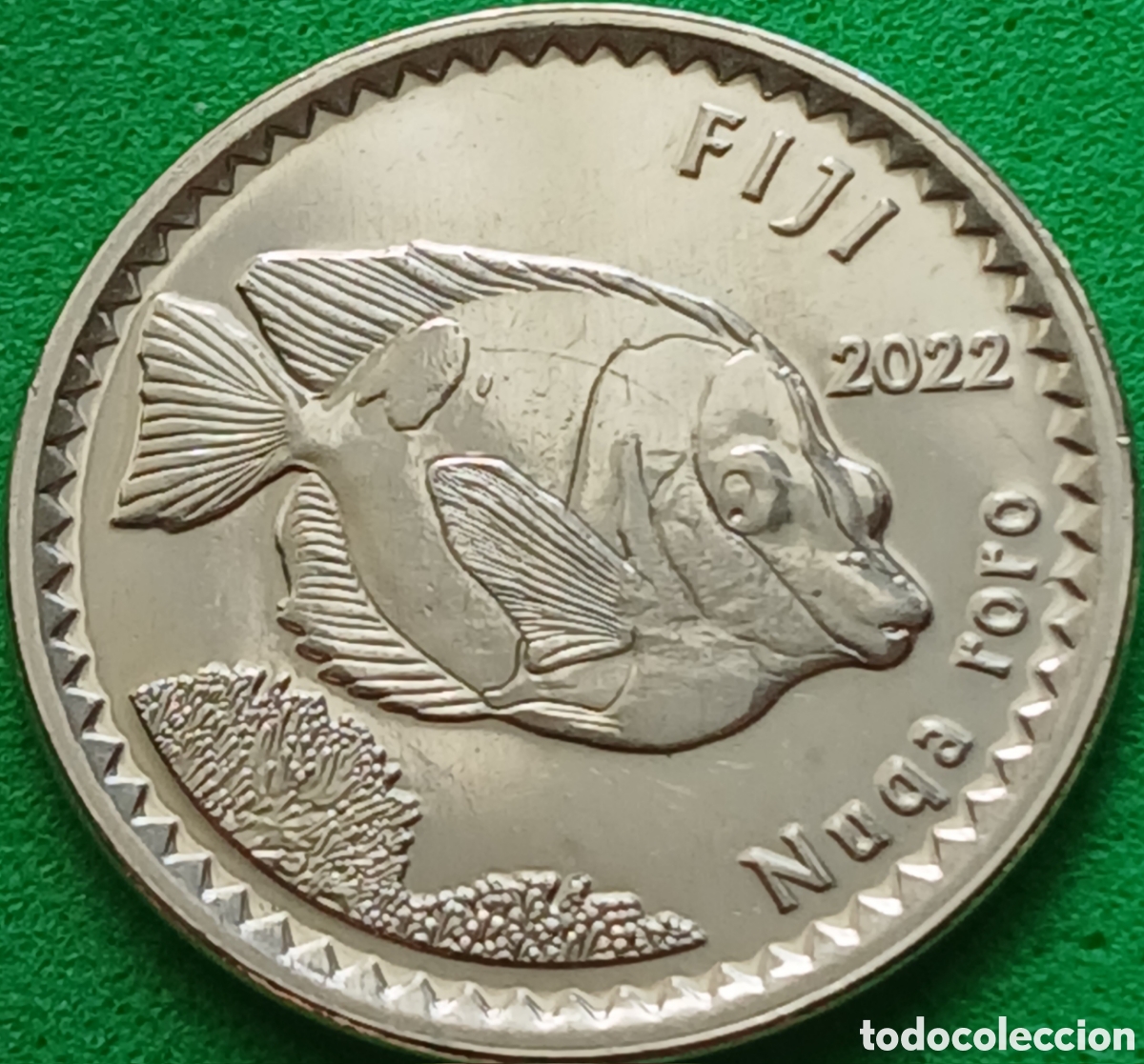 Monedas antiguas de Ocean&iacute;a: Fiji 5 cents 2022 km#332 RARA (R)