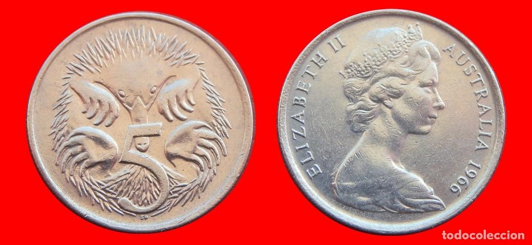 Monedas antiguas de Ocean&iacute;a: 5 CENTAVOS 1966 AUSTRALIA-150300