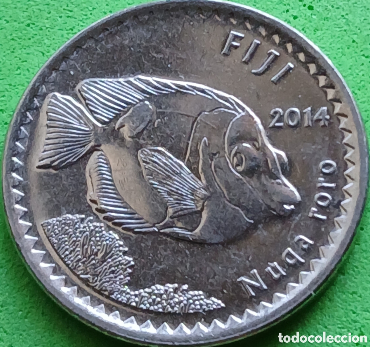 Monedas antiguas de Ocean&iacute;a: Fiji 5 cents 2014 km#332