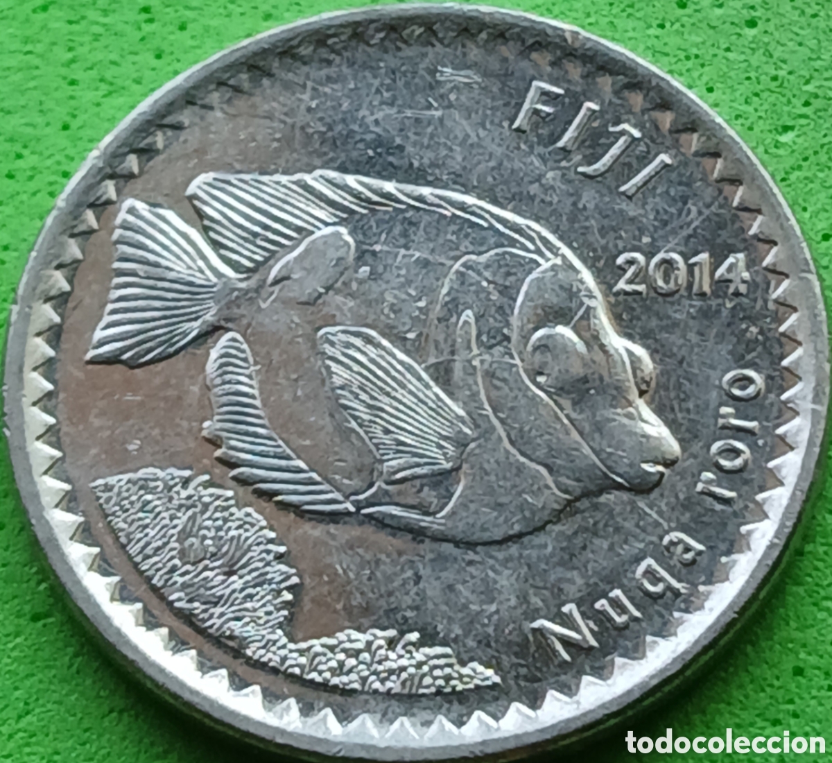 Monedas antiguas de Ocean&iacute;a: Fiji 5 cents 2014 km#332 poco com&uacute;n