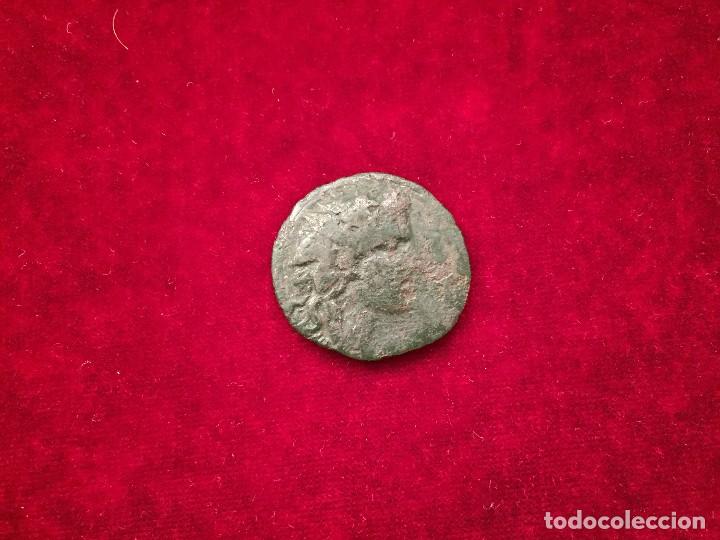 Monedas antiguas: AE23 REINO DEL PONTO. 120-63 A.C. MITRIDATES VI - Foto 1 - 127562147