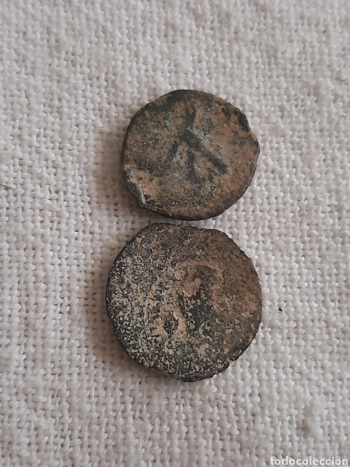 Monedas antiguas: (REINO PTOLEMAICO) LOTE DE MONEDAS - Foto 2