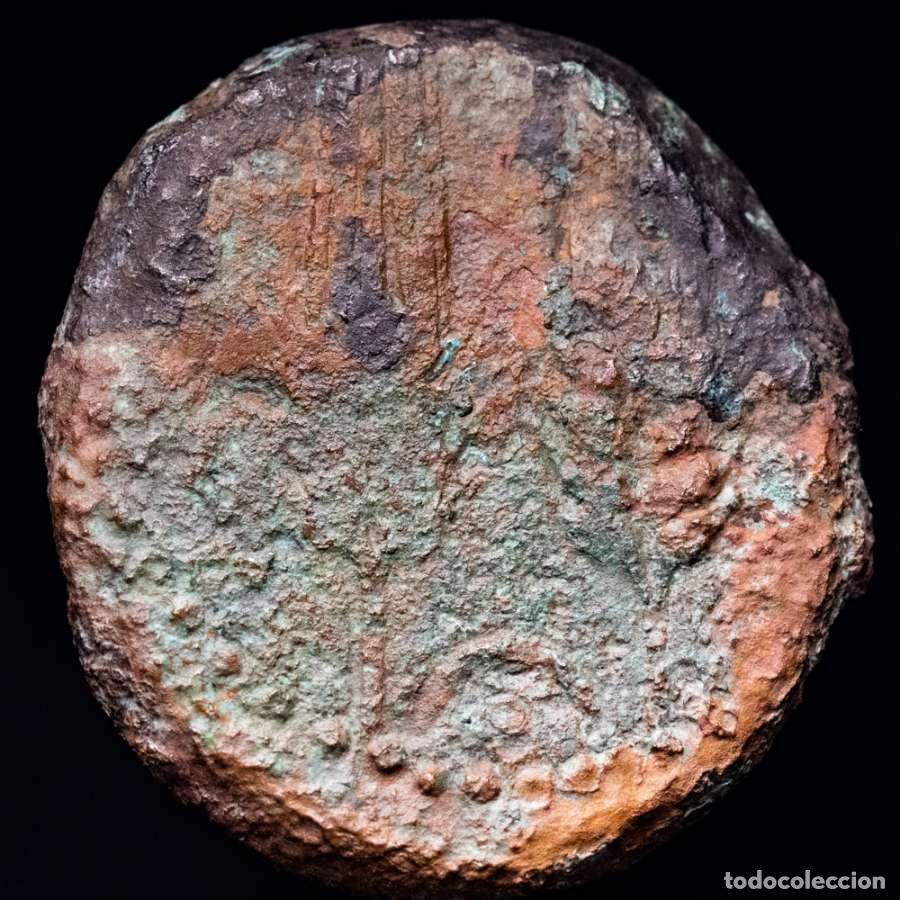 Monedas antiguas: Tingis (N. de Africa, T&aacute;nger) &AElig; 26. - Baal-Melqart / Mazorcas.