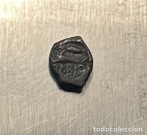 Old Coins: GEMIHALK DE CIUDAD OLBIA (UCRANIA) 400-350 A.C.