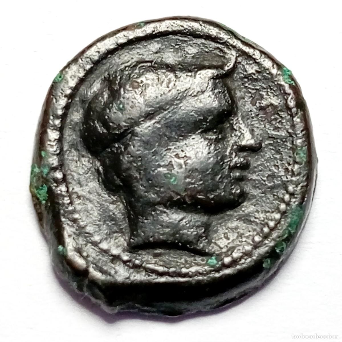 Monedas antiguas: ⚜️ BBF6 7. Bronce de Numidia. Massinissa o Micipsa. 4,35 g. AE 18