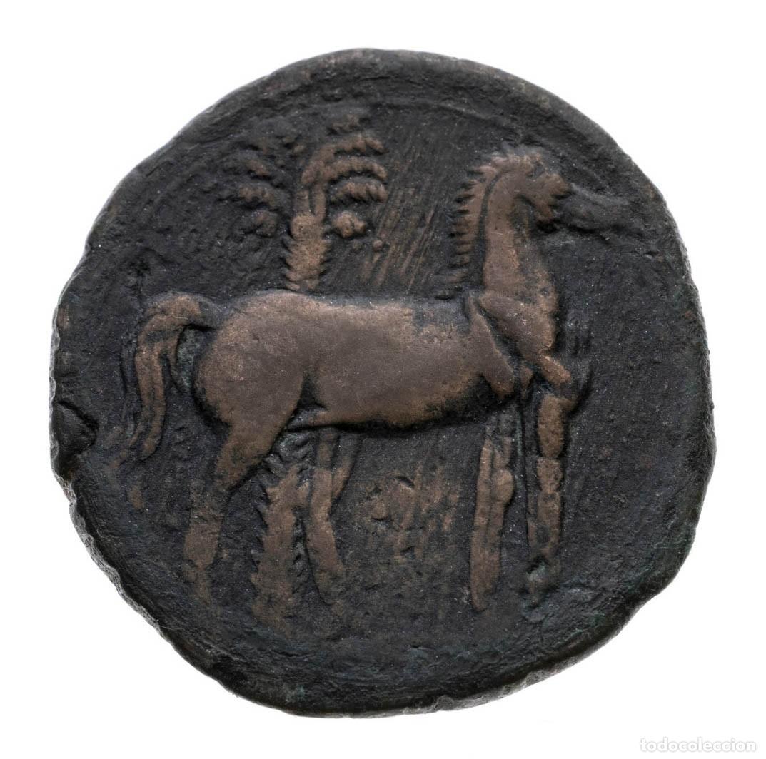 Monedas antiguas: SC-Zeugitania Cartago. TRIPLE Shekel 221-202 a. C. Cartago. 23,02g. RARA