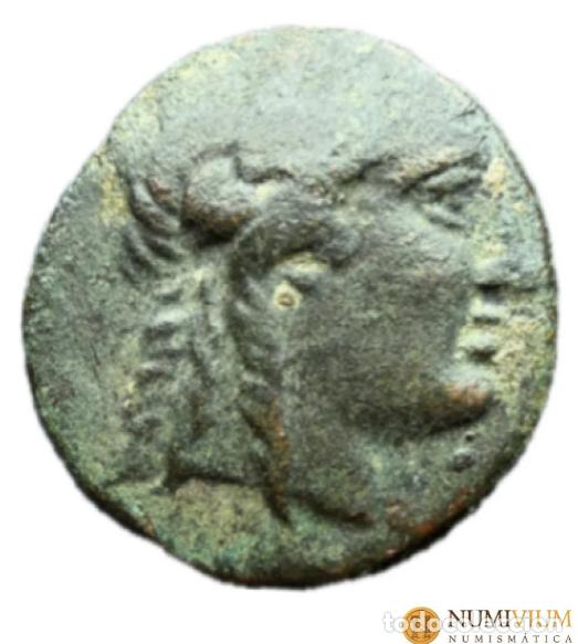 Monedas antiguas: Imperio Sel&eacute;ucida. Achaios. Usurpador. 220-214 a.C. Antioqu&iacute;a del Sardes.