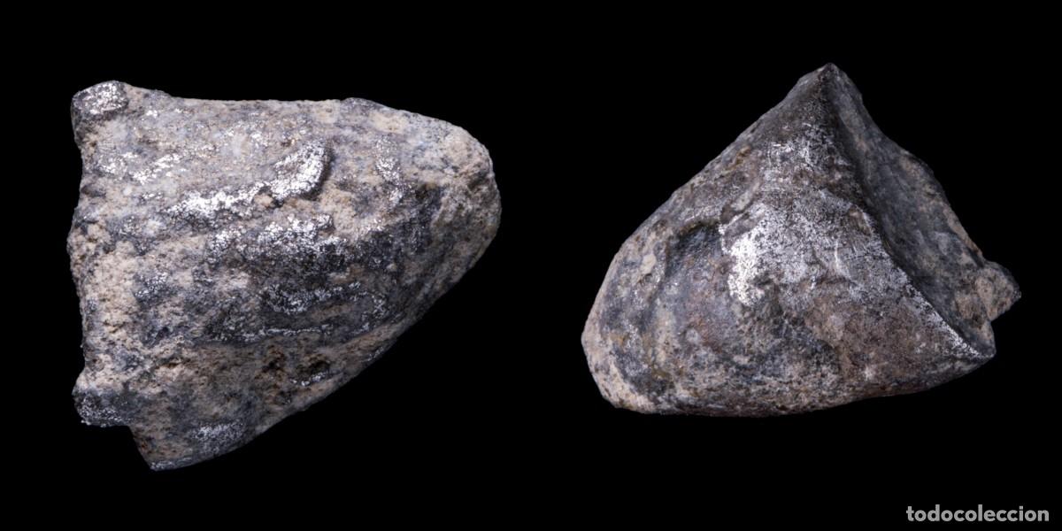 Monedas antiguas: Ancient Silver Precoin - 11 mm / 2,30 gr.