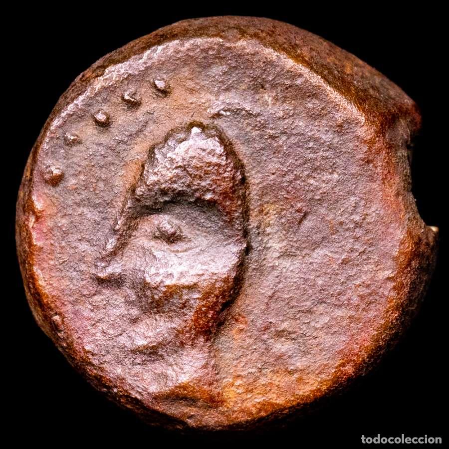 Monedas antiguas: Mauretania, Lixus (Larache, Marruecos) &AElig; 16. - busto con gorro c&oacute;nico / racimo de uvas