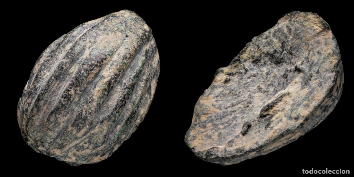 Monedas antiguas: Ancient Bronze Precoin, Shell Shape - 24 mm / 13,70 gr.