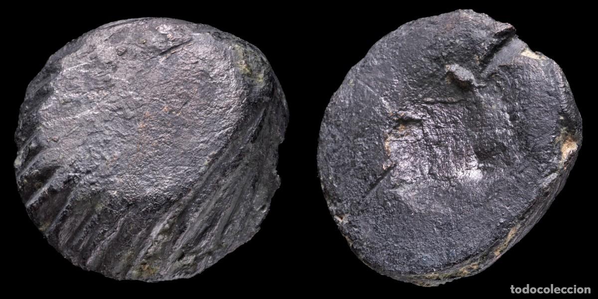 Monedas antiguas: Ancient Bronze Precoin, Shell Shape - 31 mm / 37,28 gr.