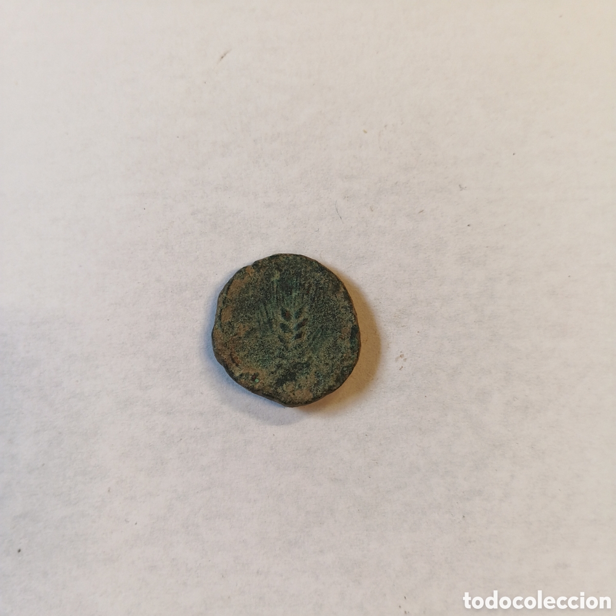 Monedas antiguas: MONEDA IBERICA BRONCE ANTIGUA DE ILIPA a. II y I a.C.