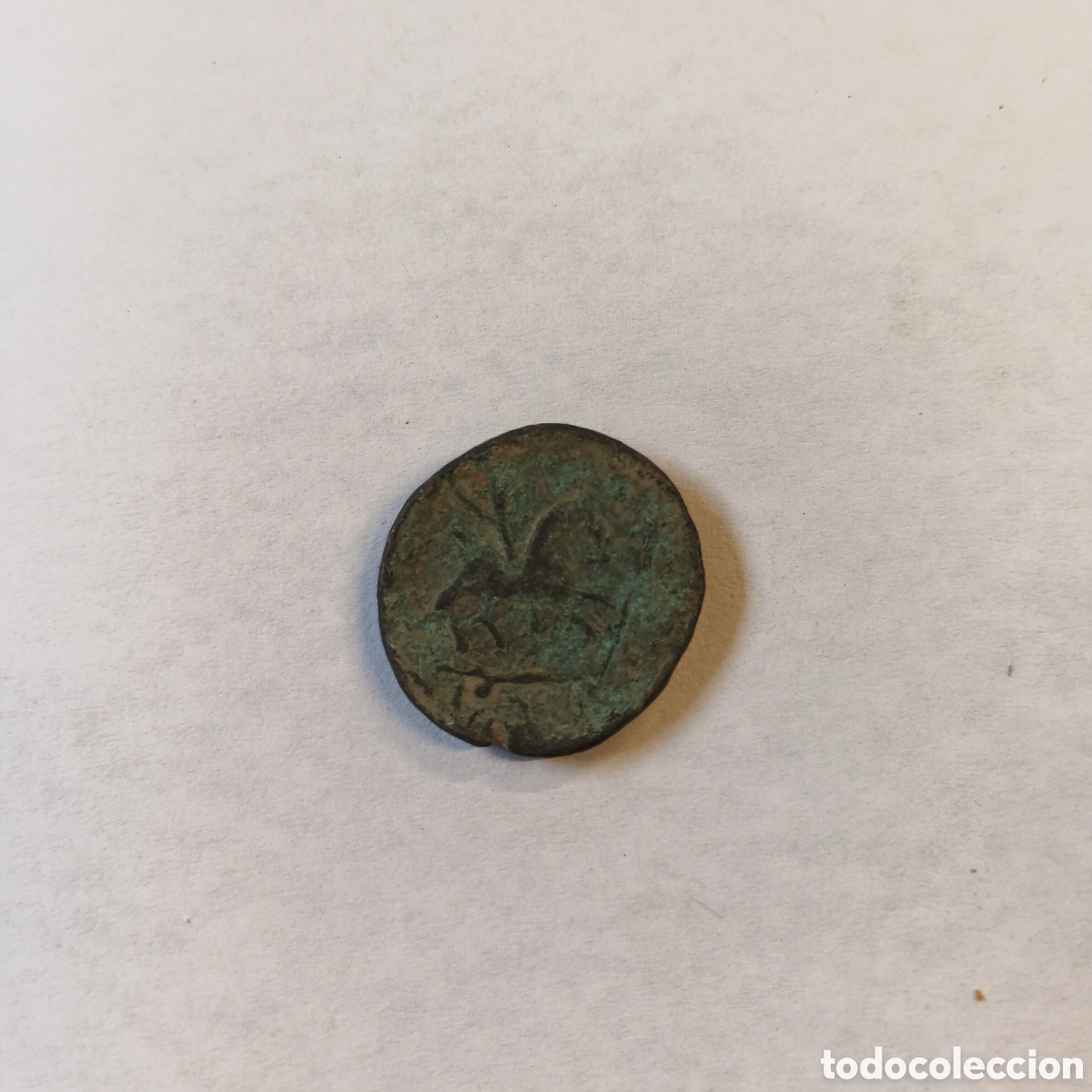 Monedas antiguas: MONEDA SEMIS DE LA CECA DE KESE HISPANIA ANTIGUA s. II a.C..