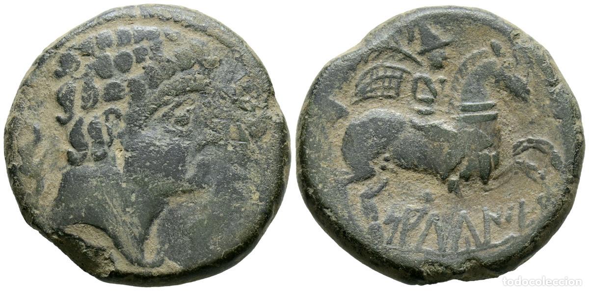 Monedas antiguas: SALDUIE (Zaragoza). As. (Ae. 9,82g/26mm). 120-30 a.C. (FAB-305). Anv: Cabeza masculina rodeada de tr