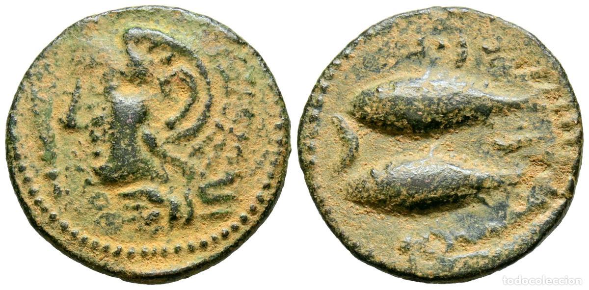 Moedas antigas: GADES (C&aacute;diz). Semis. (Ae. 3,32g/18mm). 100-20 a.C. (FAB-1347). Anv: Cabeza de H&eacute;rcules con piel de