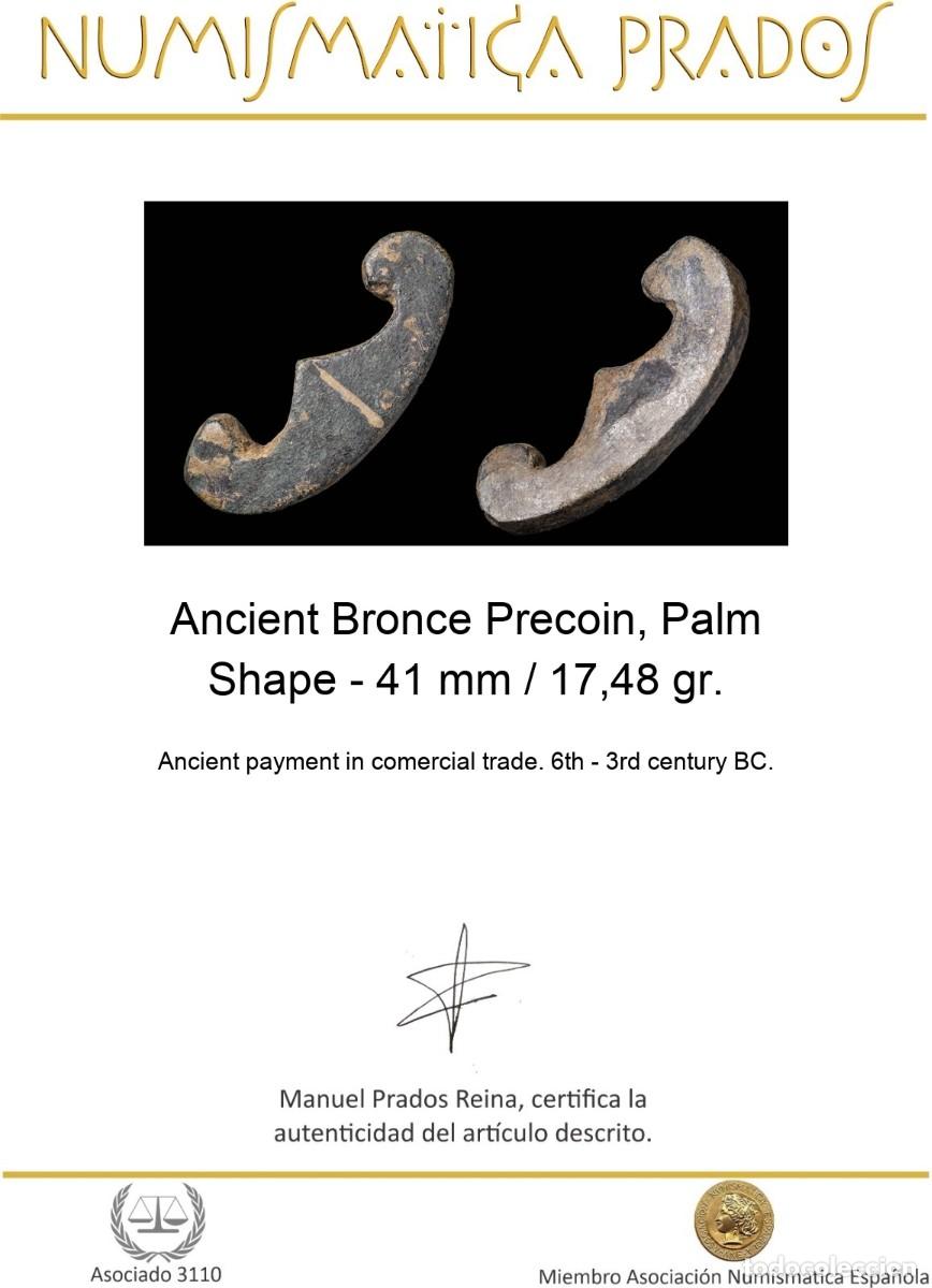 Monedas antiguas: Ancient Bronce Precoin, Palm Shape - 41 mm / 17,48 gr. - Foto 2