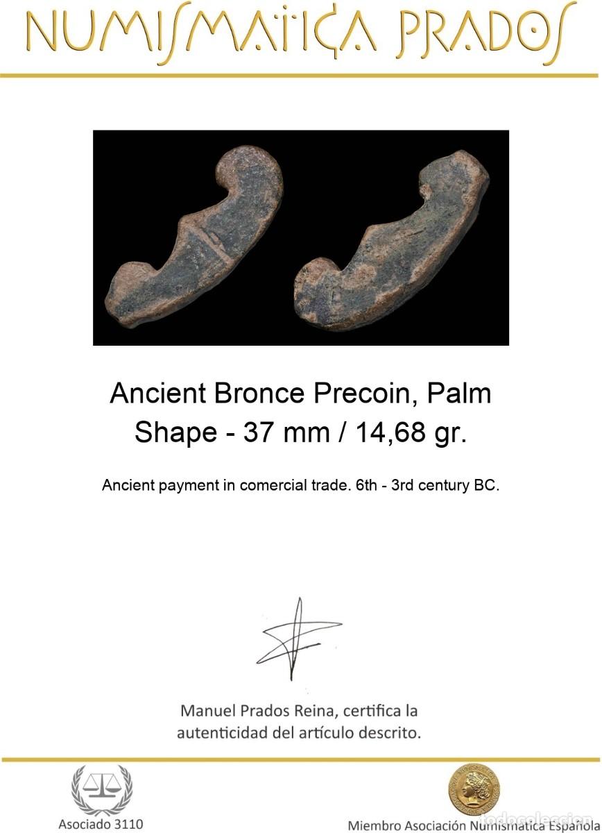 Monedas antiguas: Ancient Bronce Precoin, Palm Shape - 37 mm / 14,68 gr. - Foto 2