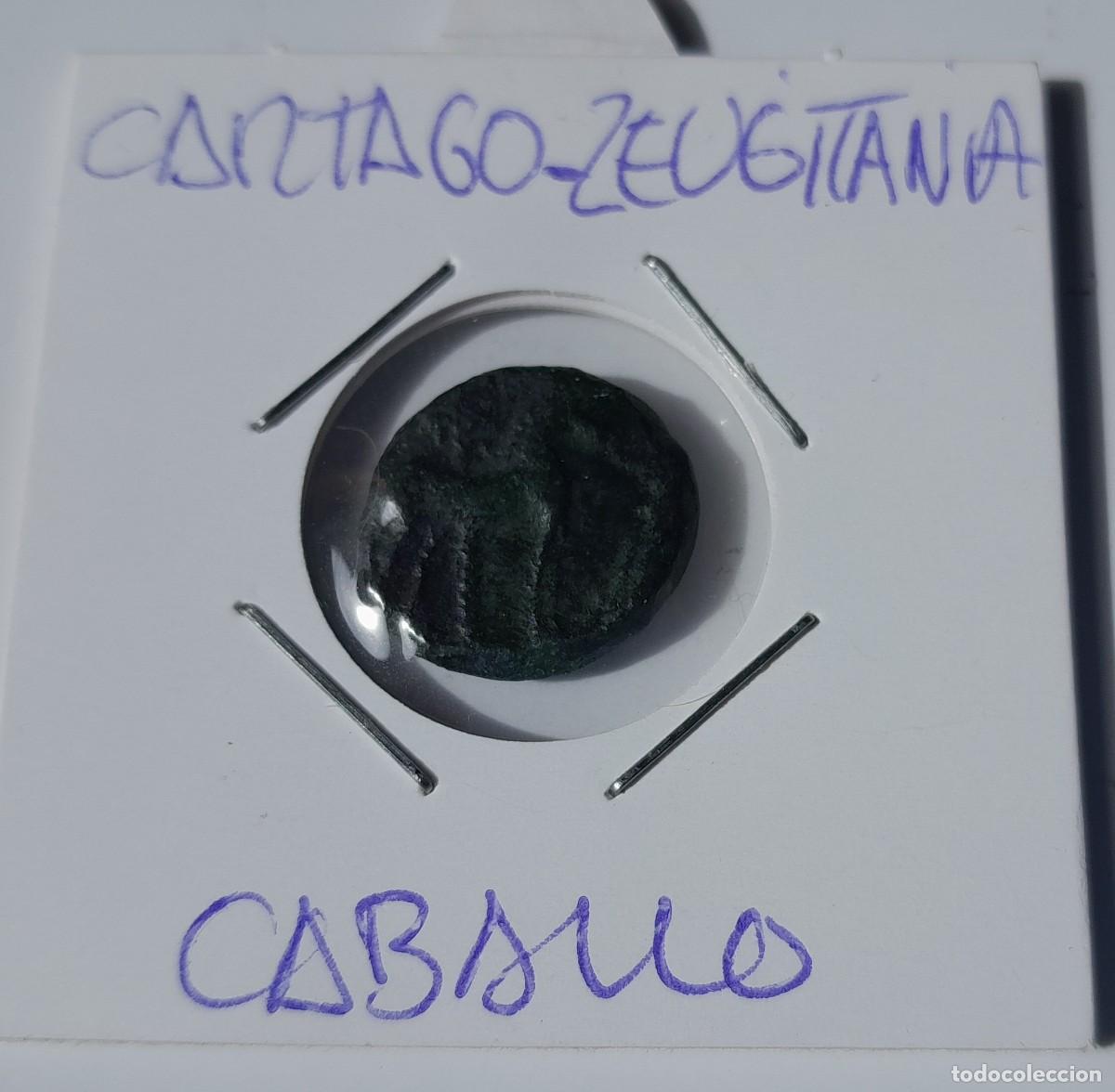 Monedas antiguas: CARTAGO. ZEUGITANIA. SIGLO IV AC
