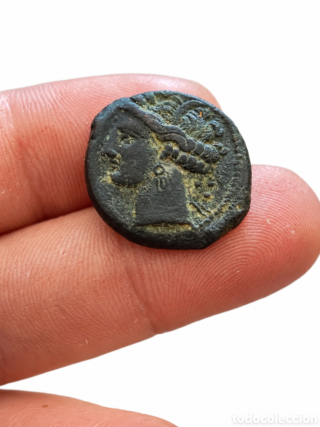 Monete antiche: calco hispano-cartagin&eacute;s de bronce &ndash; caballo &ndash; siglo iii a. c