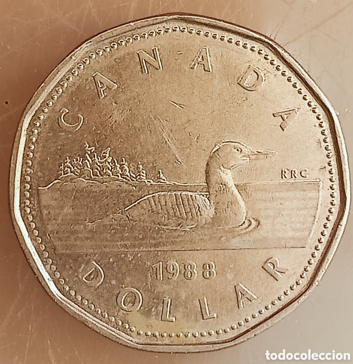 Monedas con errores: Moneda Canad&aacute;(1988) var&iacute;ante - Foto 6