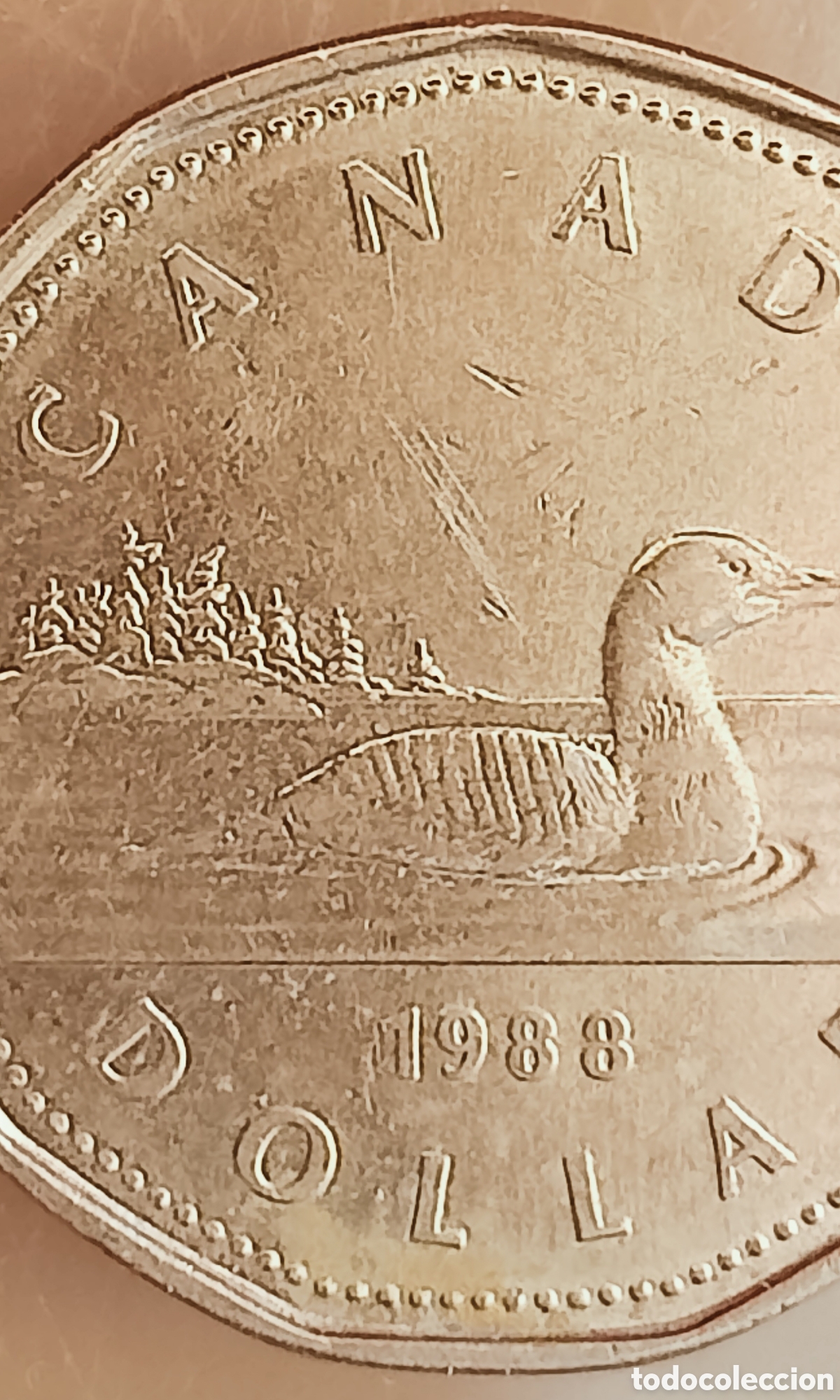 Monedas con errores: Moneda Canad&aacute;(1988) var&iacute;ante - Foto 7