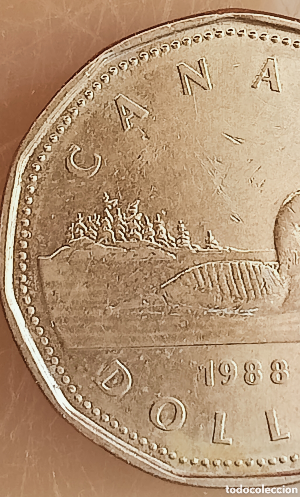 Monedas con errores: Moneda Canad&aacute;(1988) var&iacute;ante - Foto 8