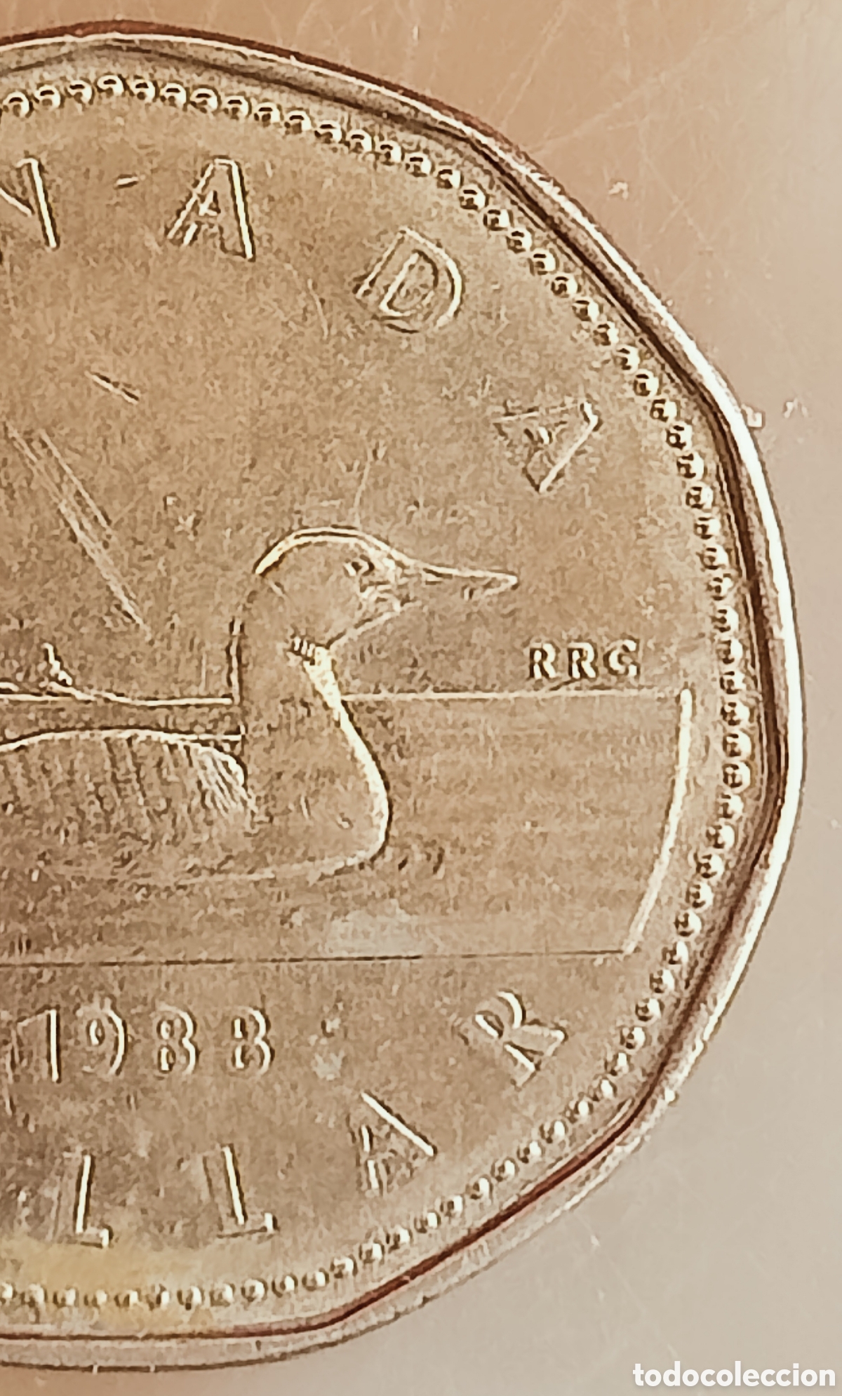 Monedas con errores: Moneda Canad&aacute;(1988) var&iacute;ante - Foto 9