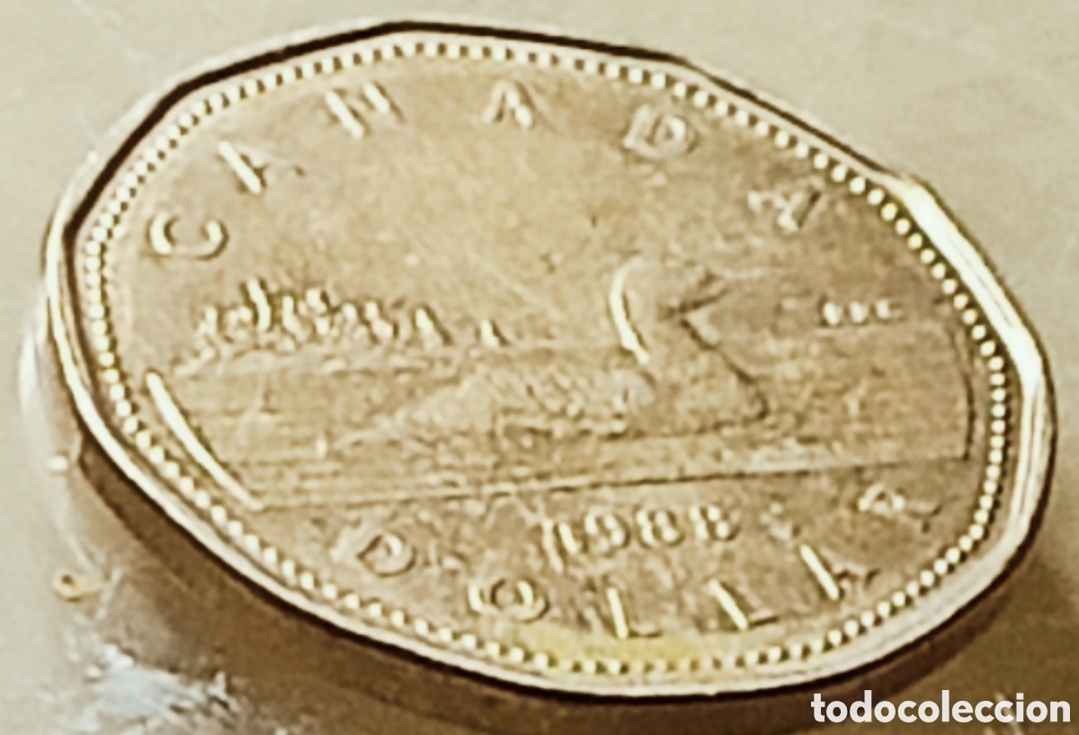 Monedas con errores: Moneda Canad&aacute;(1988) var&iacute;ante - Foto 11