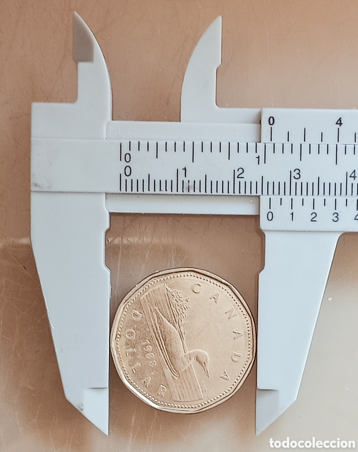 Monedas con errores: Moneda Canad&aacute;(1988) var&iacute;ante - Foto 13