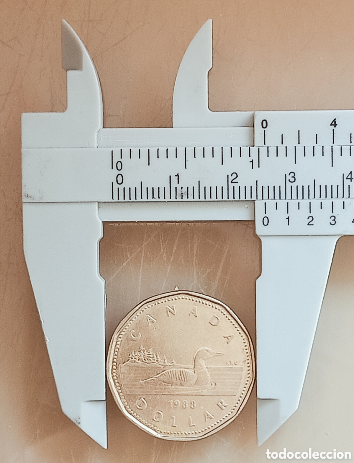 Monedas con errores: Moneda Canad&aacute;(1988) var&iacute;ante - Foto 14