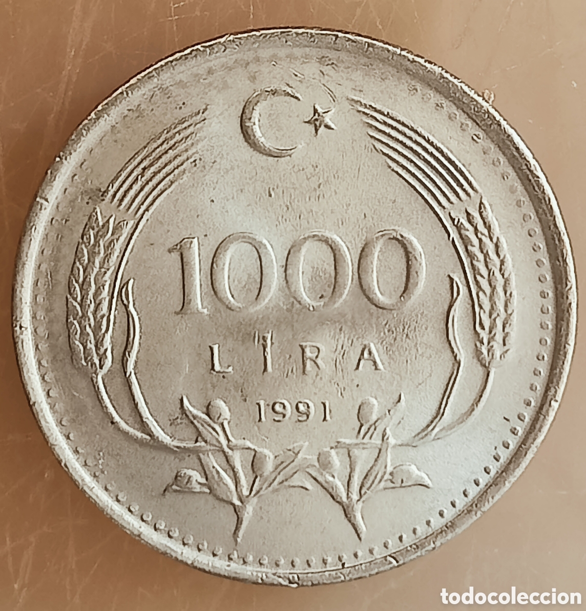 Monedas con errores: Moneda Turqu&iacute;a (1991) Error - Foto 8