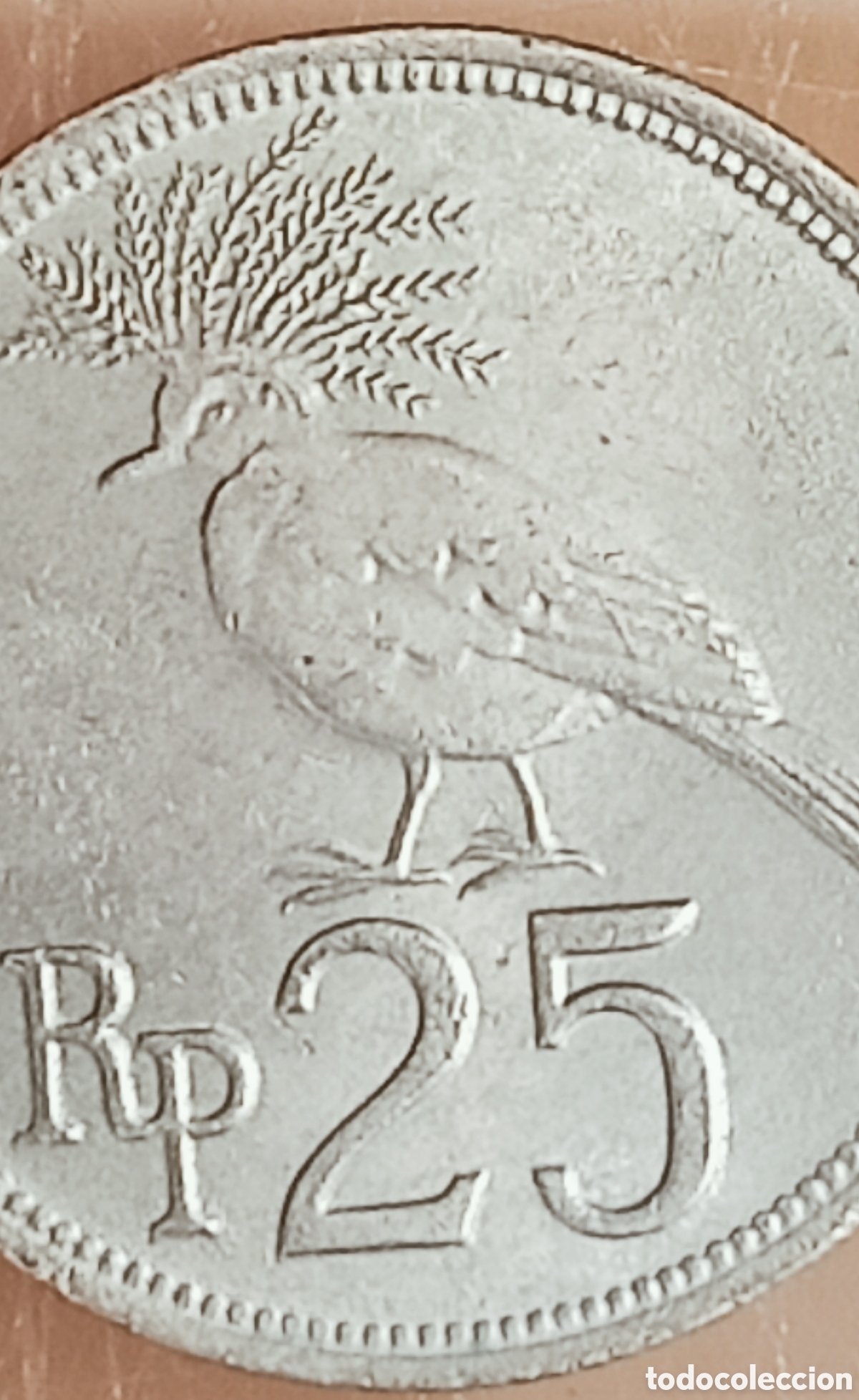 Monedas con errores: Moneda Indonesia (1971) error de ceca - Foto 3