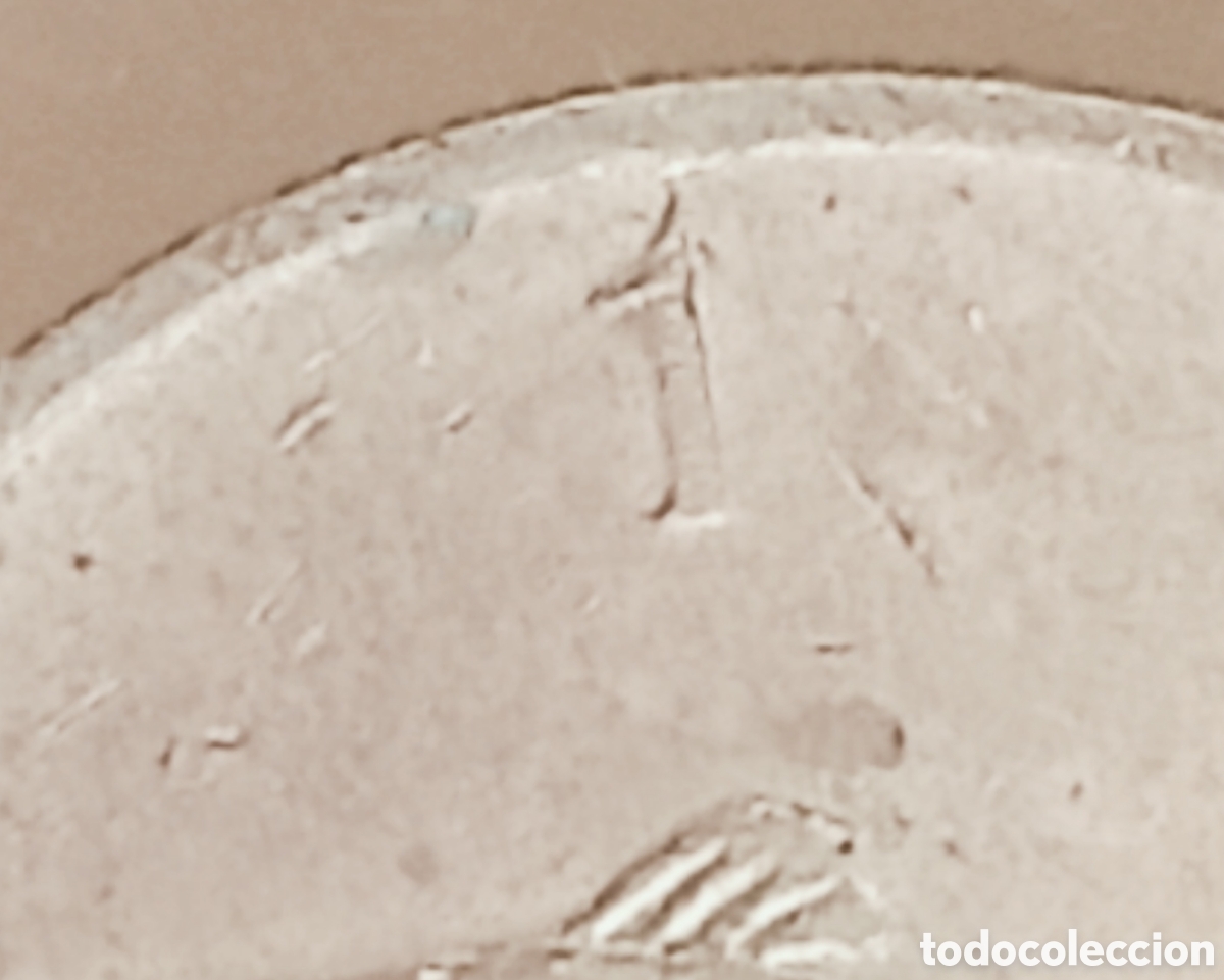 Monedas con errores: Moneda Eslovenia (1995) Error de acu&ntilde;aci&oacute;n - Foto 21