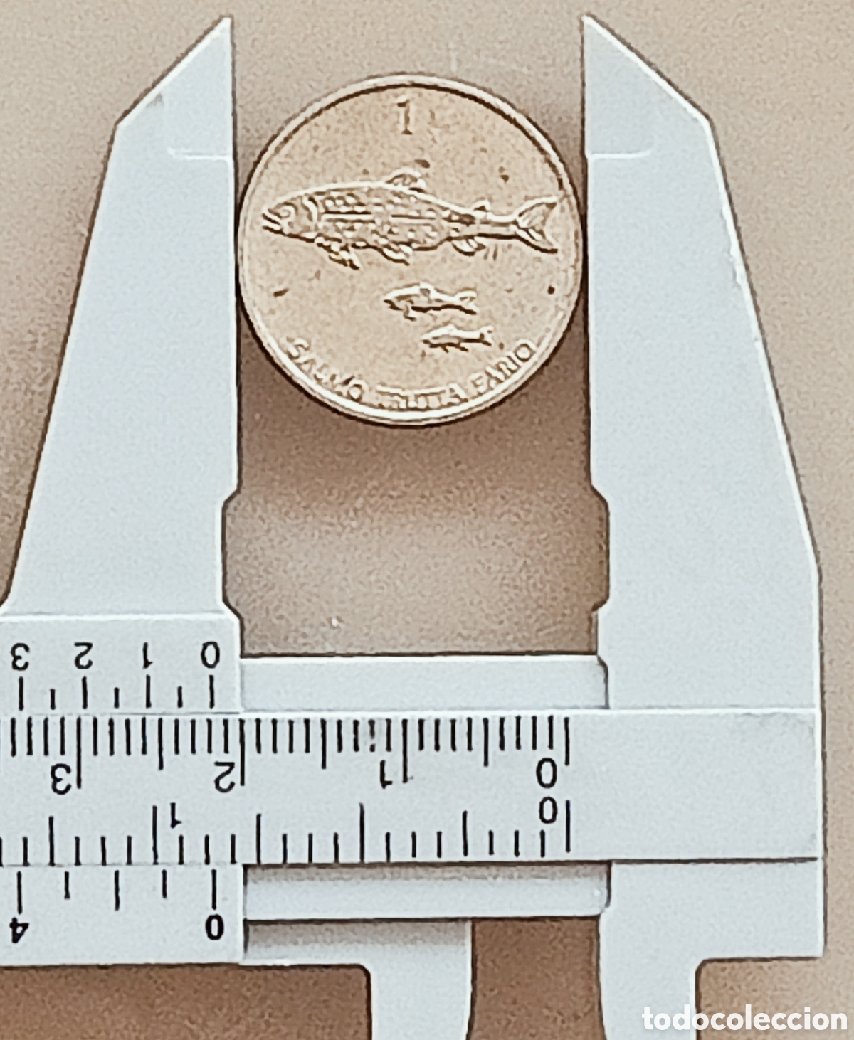 Monedas con errores: Moneda Eslovenia (1995) Error de acu&ntilde;aci&oacute;n - Foto 29