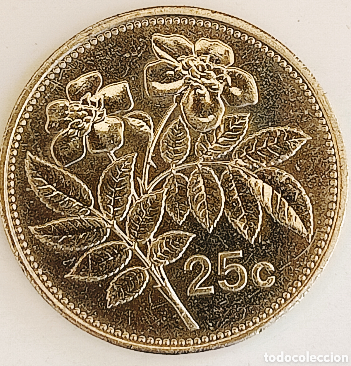 Monedas con errores: Moneda Malta (2005) ERROR - Foto 7