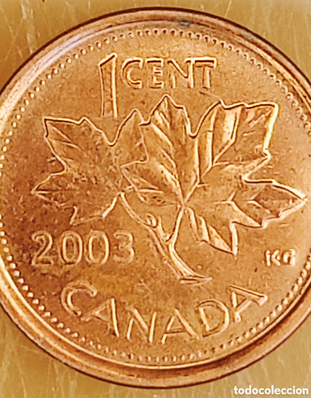 Monedas con errores: Moneda Canad&aacute; (2003) error - Foto 7