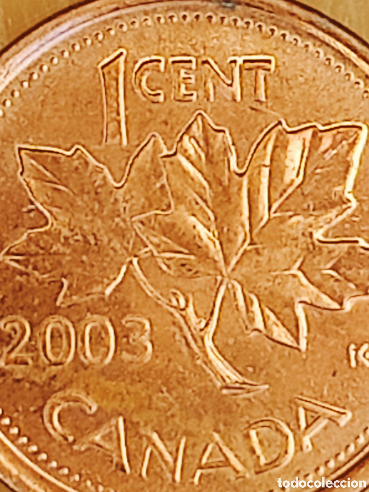 Monedas con errores: Moneda Canad&aacute; (2003) error - Foto 8