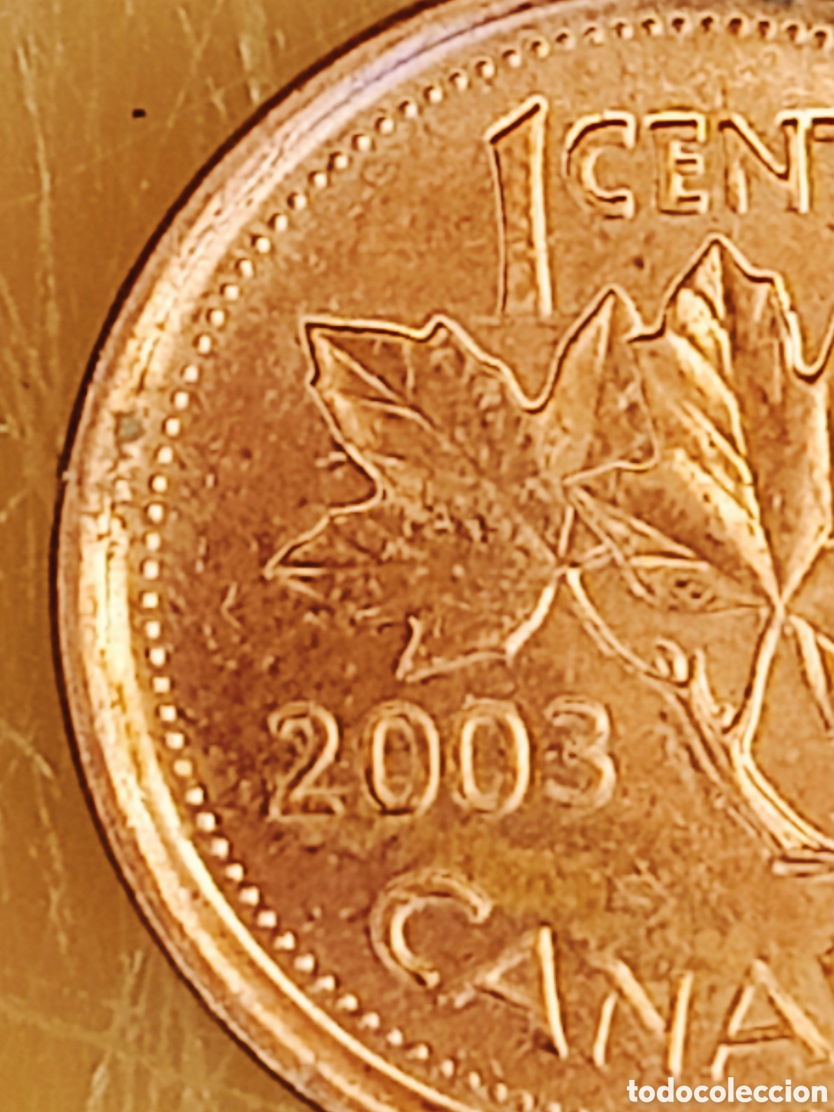 Monedas con errores: Moneda Canad&aacute; (2003) error - Foto 9