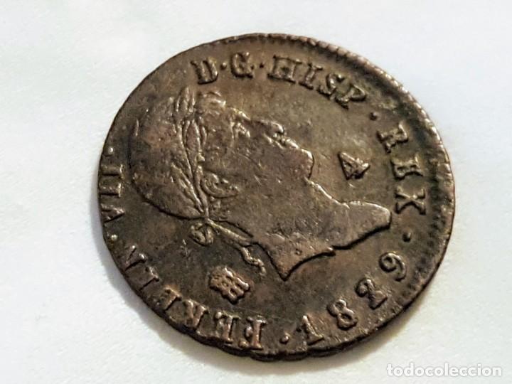Monedas de Espa&ntilde;a: 1829, 4 maravedis,Segovia - Foto 4